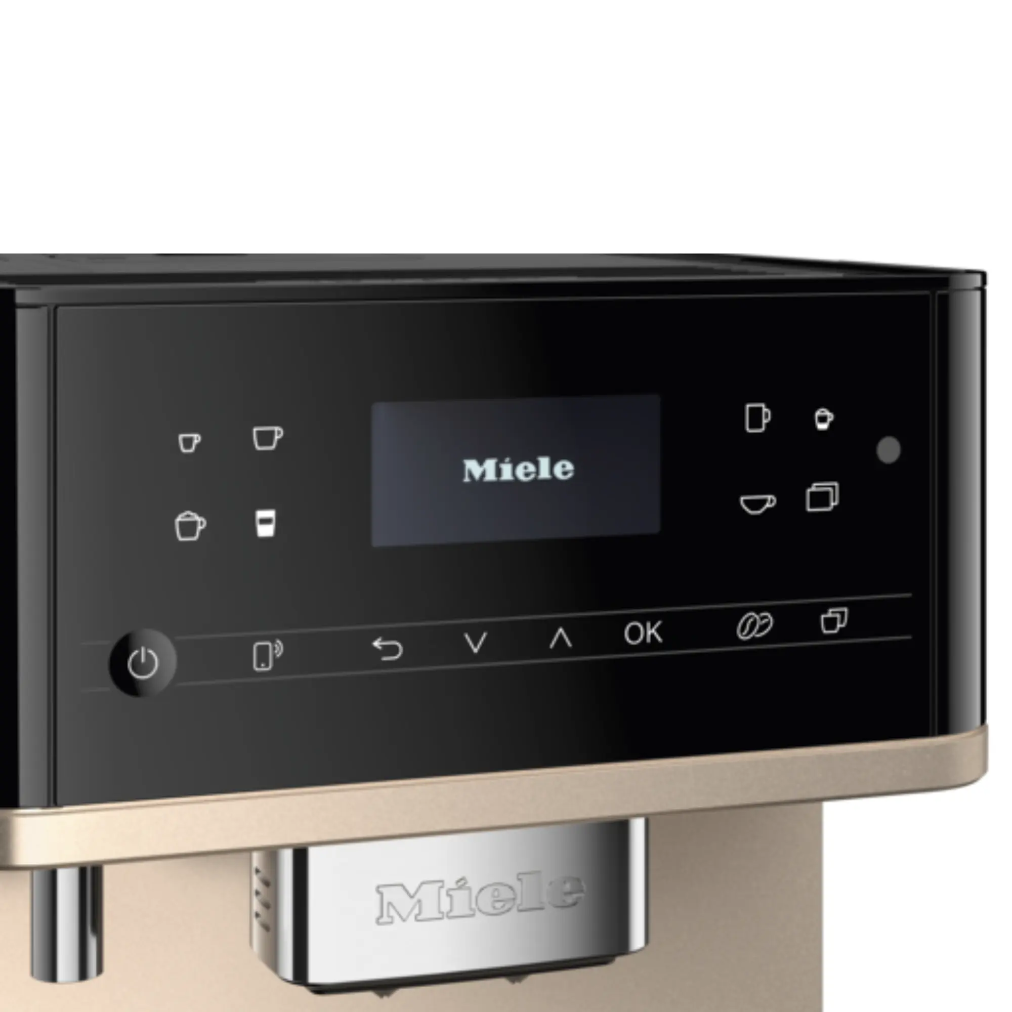 bean to cup coffee maker